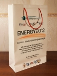 Ламинированный бумажный пакет Energy 2012 250 x 390 x 90 mm