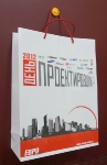 Бумажный пакет ламинированный День проектировщика 2012